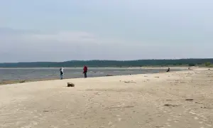 Spacer po piaszczystej plaży na Żuławach Wiślanych. W oddali widać las i morze.