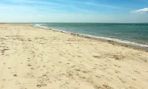 Plaża Ulinia wita piaskiem usianym śladami stóp i spokojnym morzem.