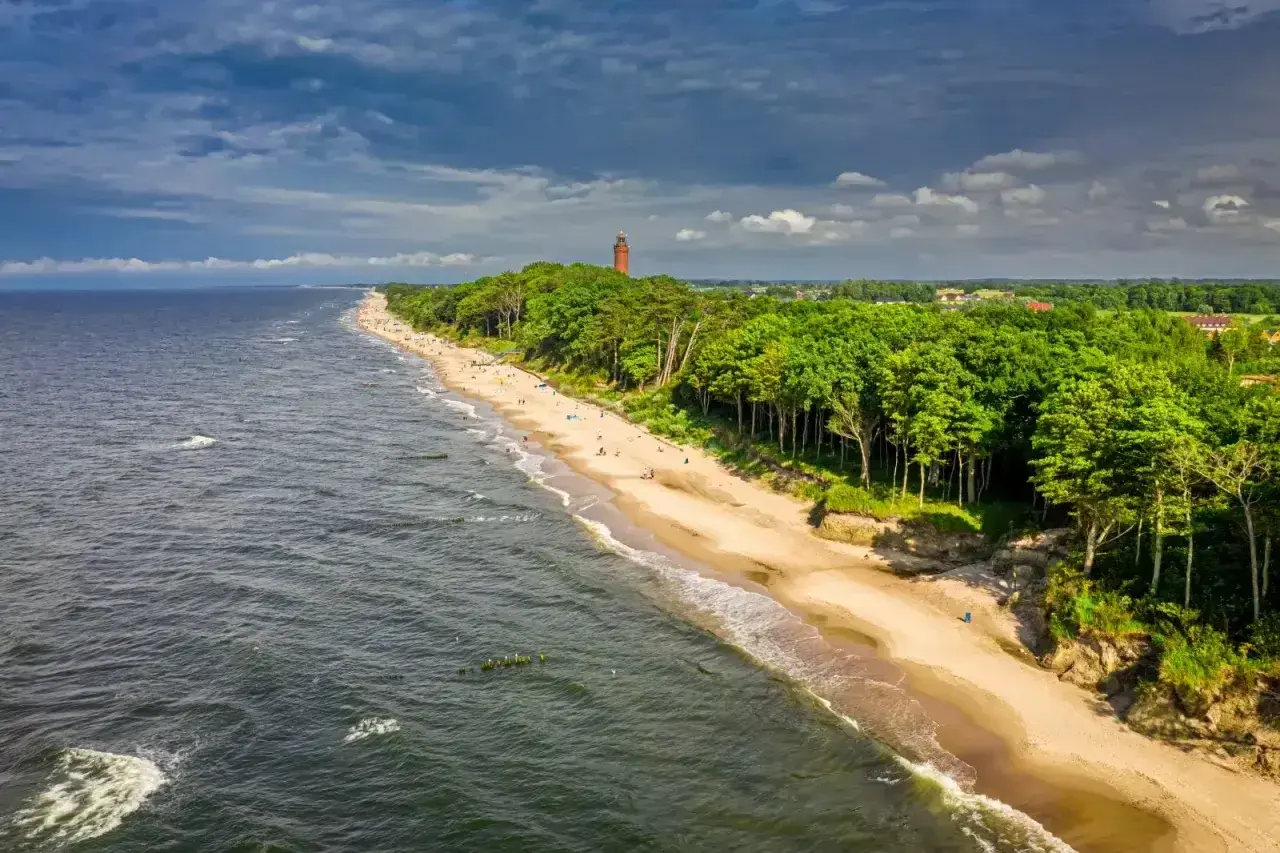 Plaża nad Bałtykiem z lasem sosnowym i latarnią. Woda, choć ma niższe zasolenie Bałtyku, faluje przy brzegu.