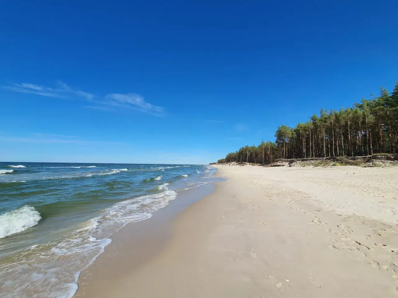Piękna, piaszczysta plaża Ulinia z sosnowym lasem w tle i spokojnymi falami Bałtyku. Idealne miejsce na relaks.