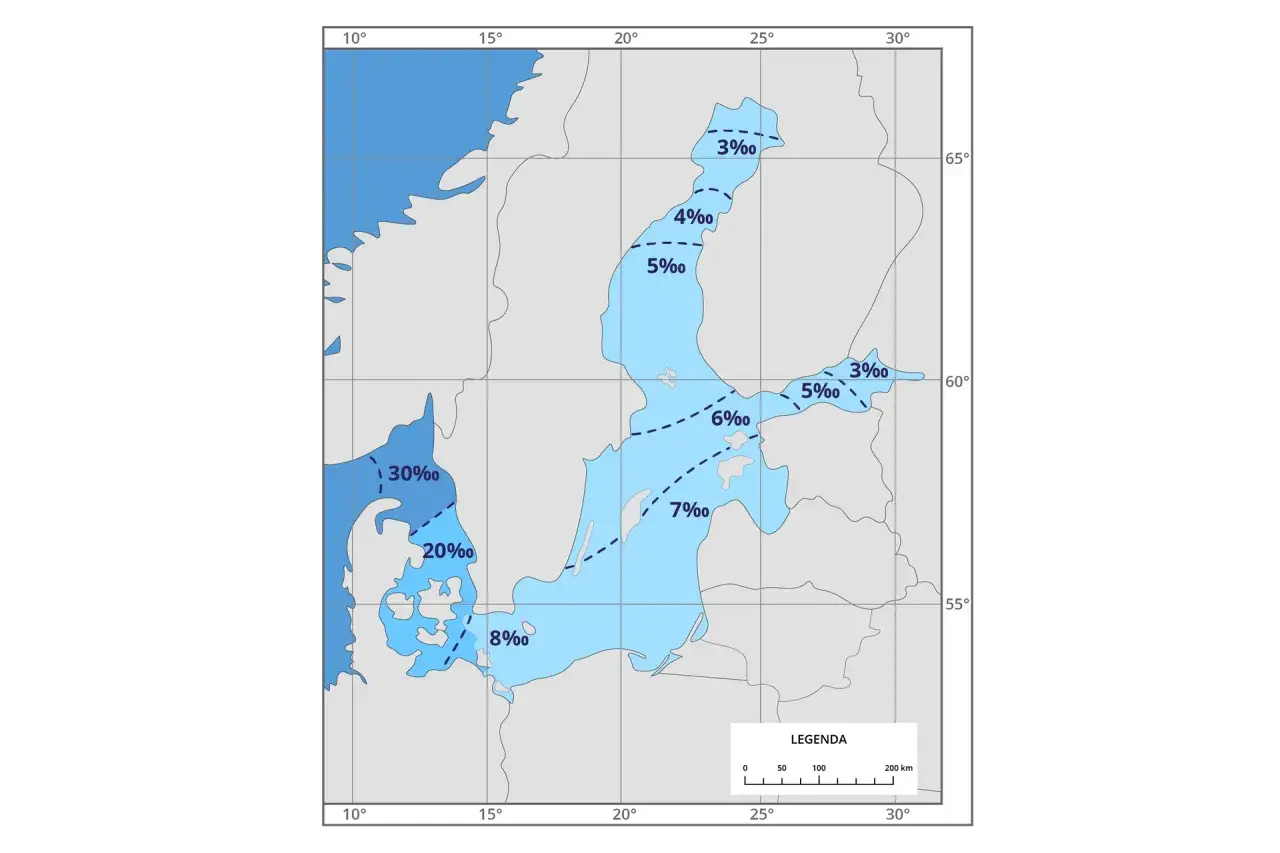 Mapa pokazuje zasolenie Bałtyku. Najwyższe zasolenie (30‰) występuje w cieśninach duńskich, a najniższe (3‰) w Zatoce Botnickiej.
